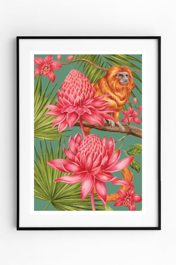 Fauna & Flora