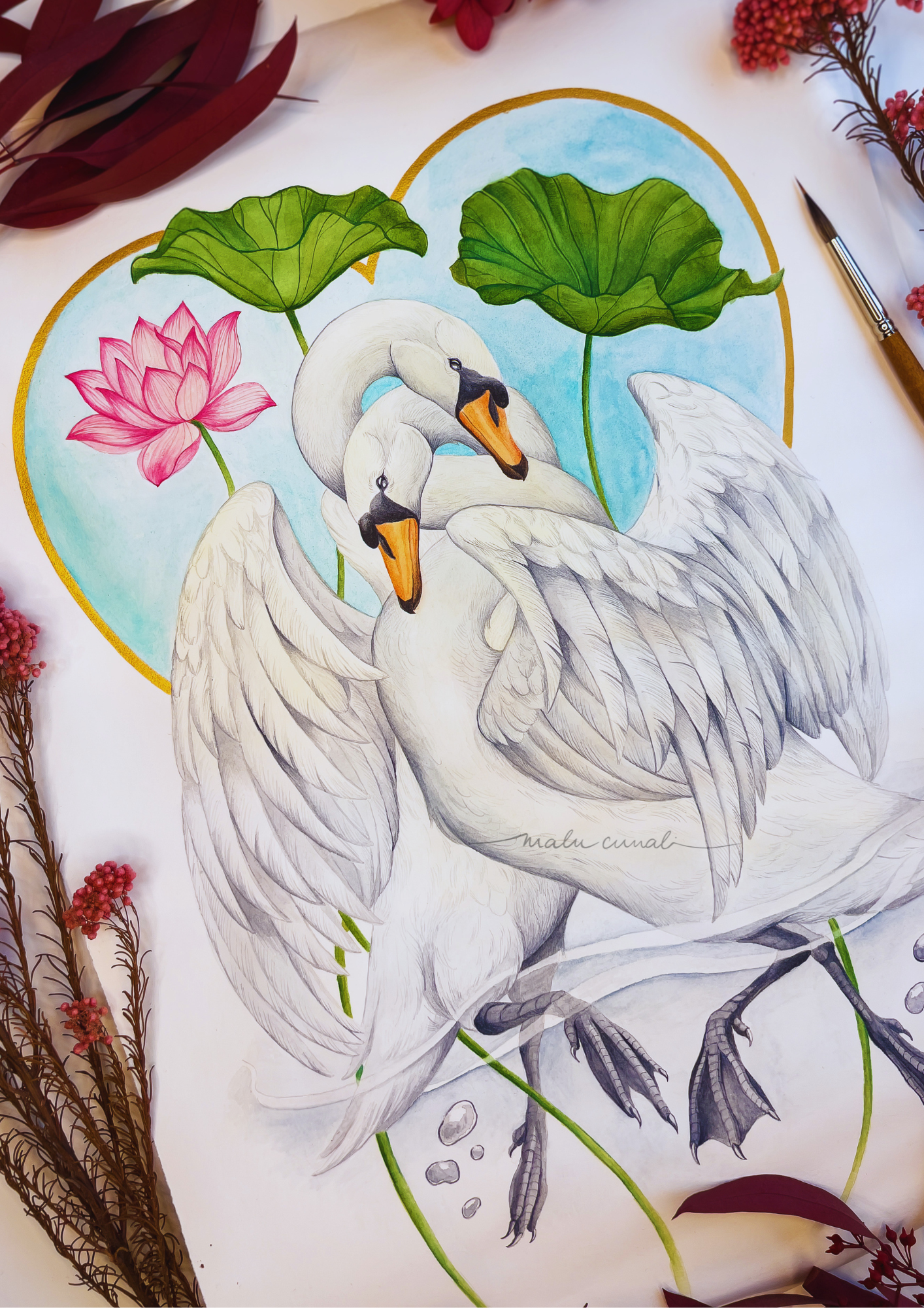 Swan Love