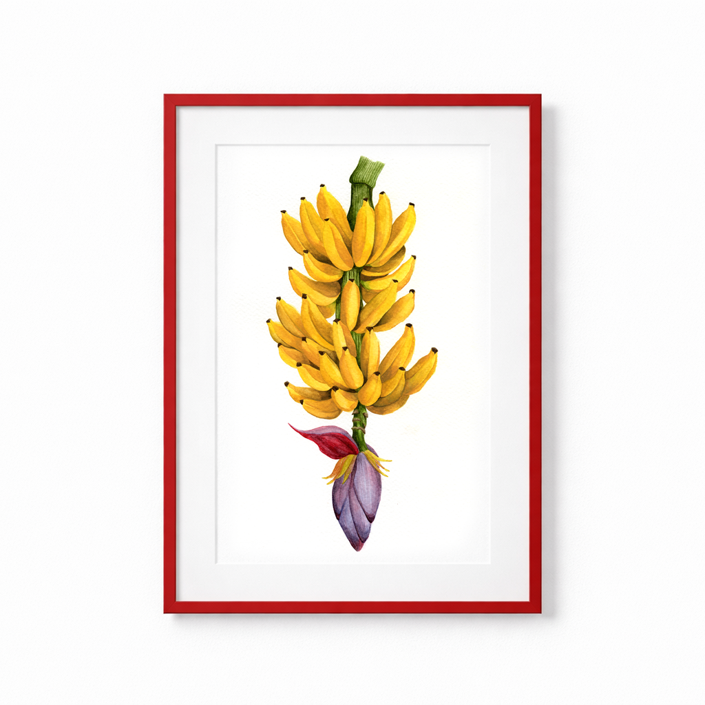 Banana Branch