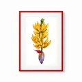 Banana Branch