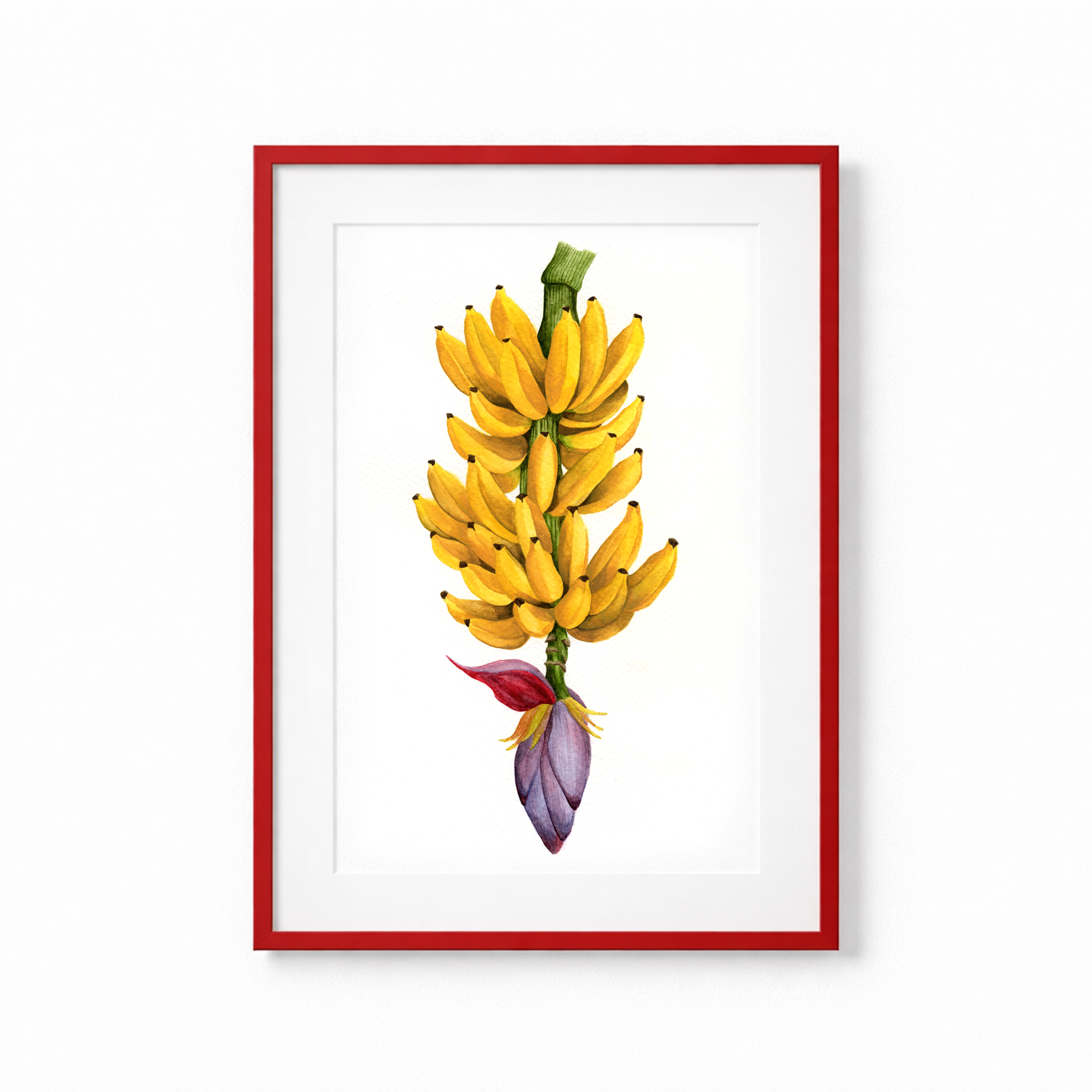 Banana Branch