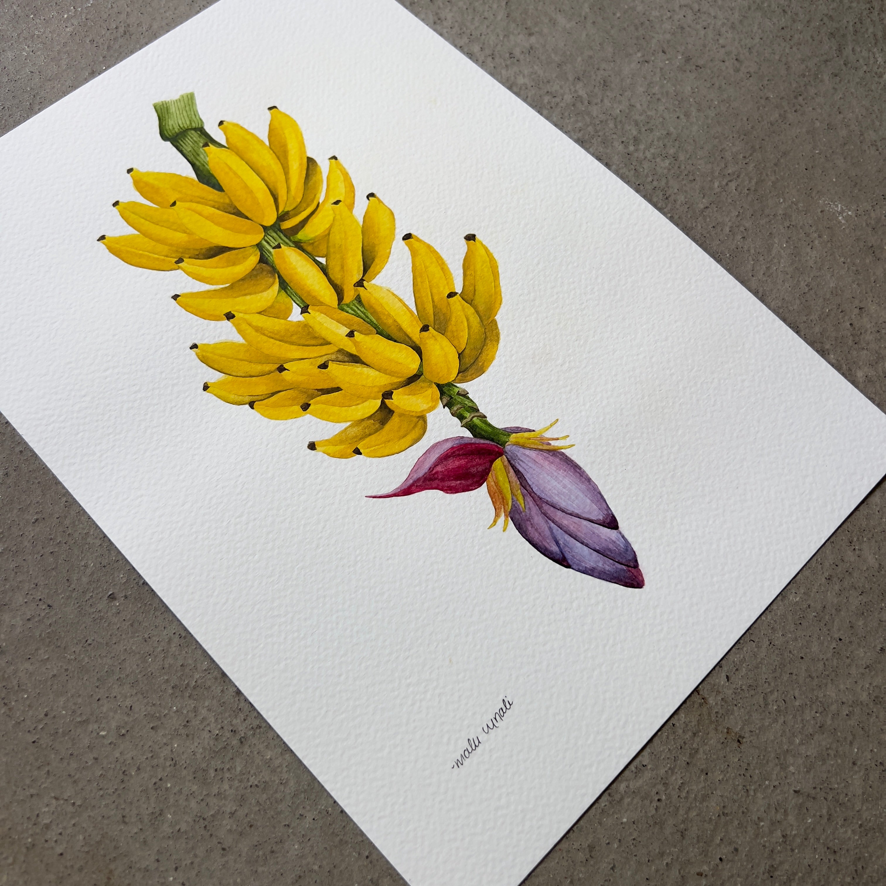 Banana Branch Watercolor Original