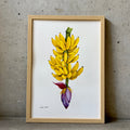 Banana Branch Watercolor Original