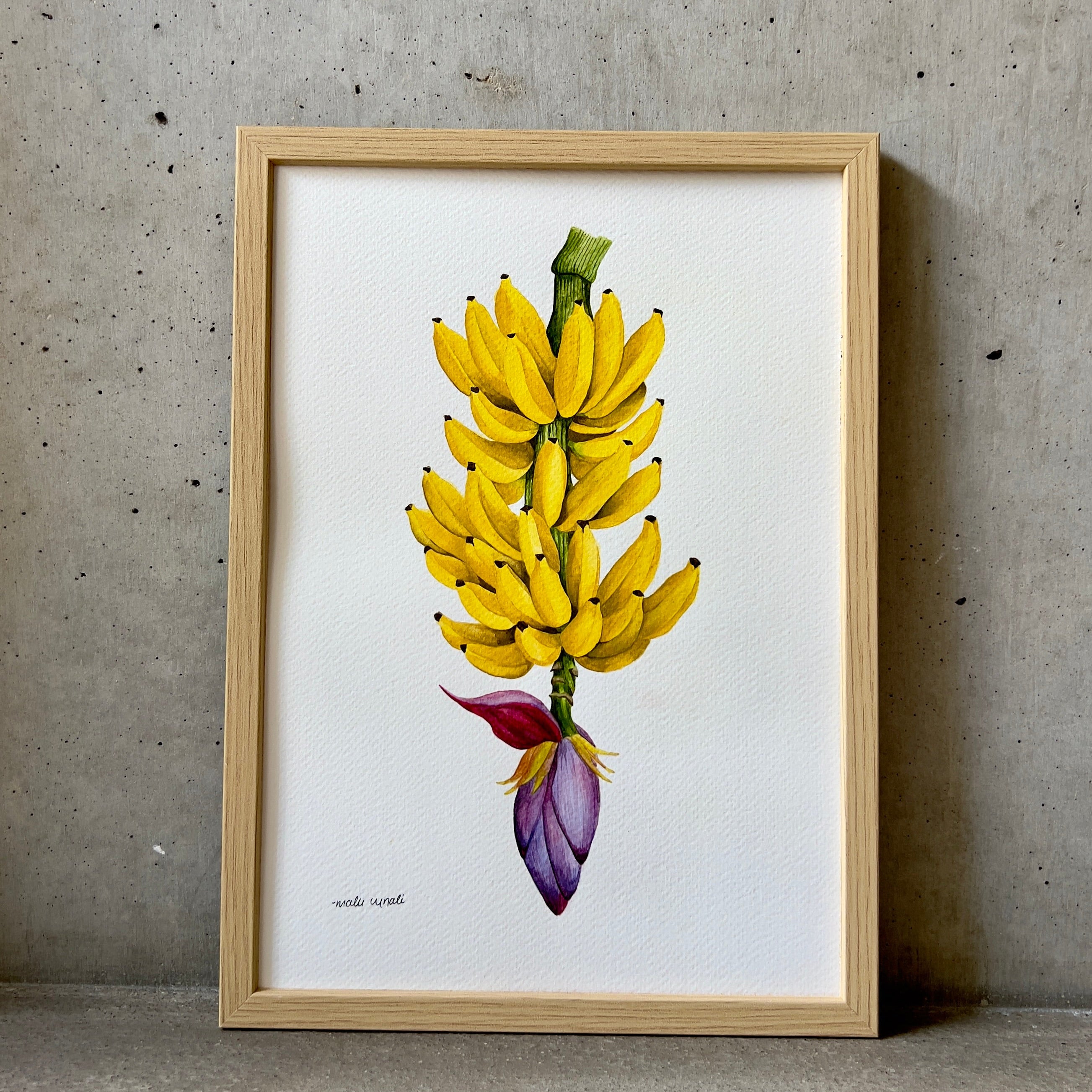 Banana Branch Watercolor Original
