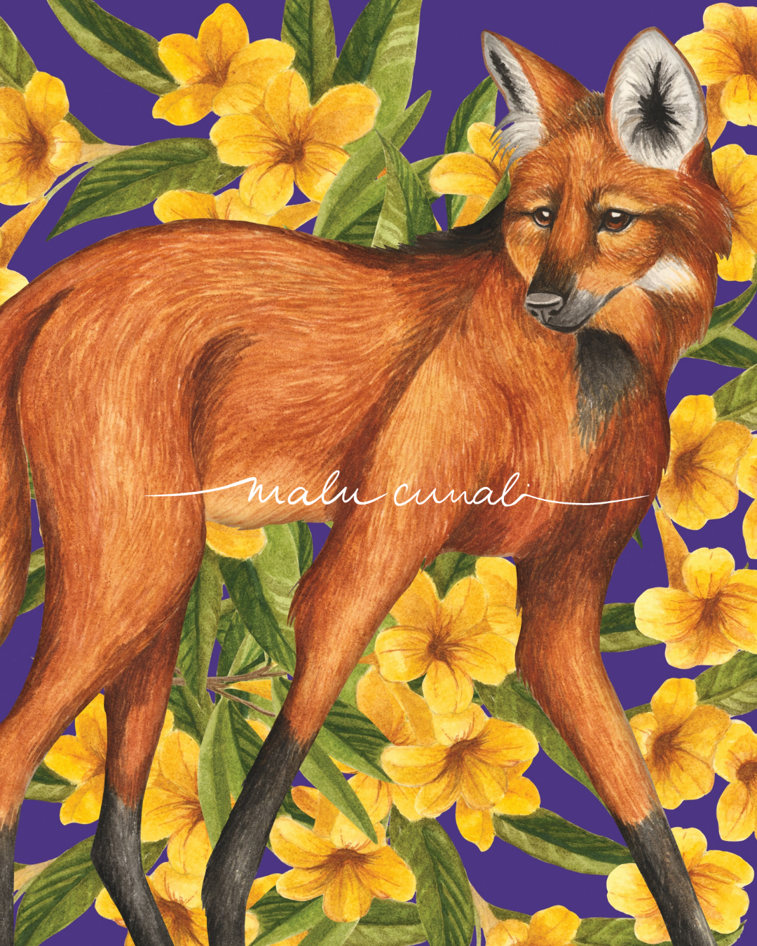 Maned Wolf & Ipê
