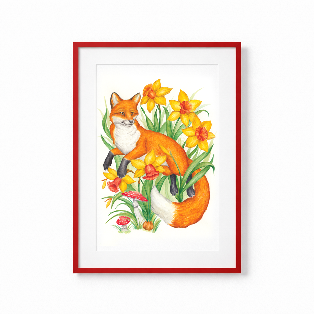 Fox & Daffodils