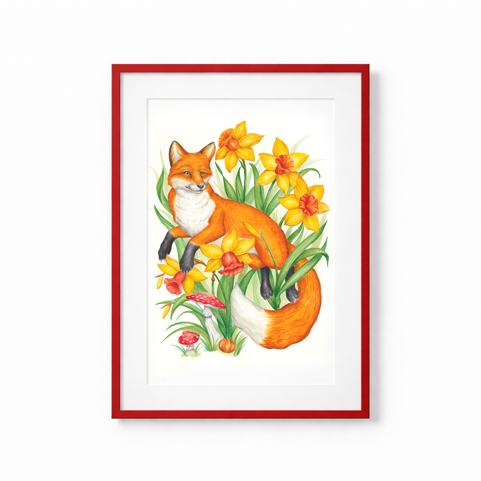 Fox & Daffodils
