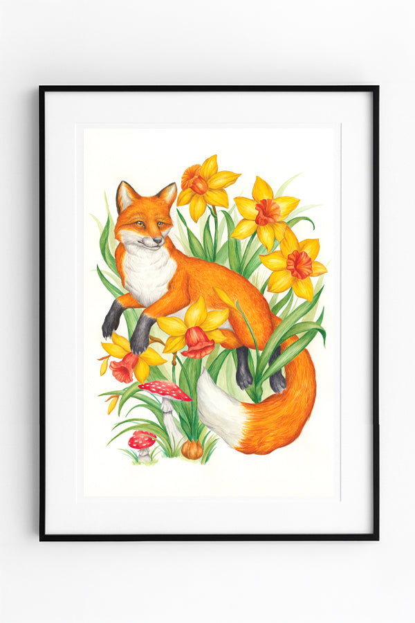 Fox & Daffodils