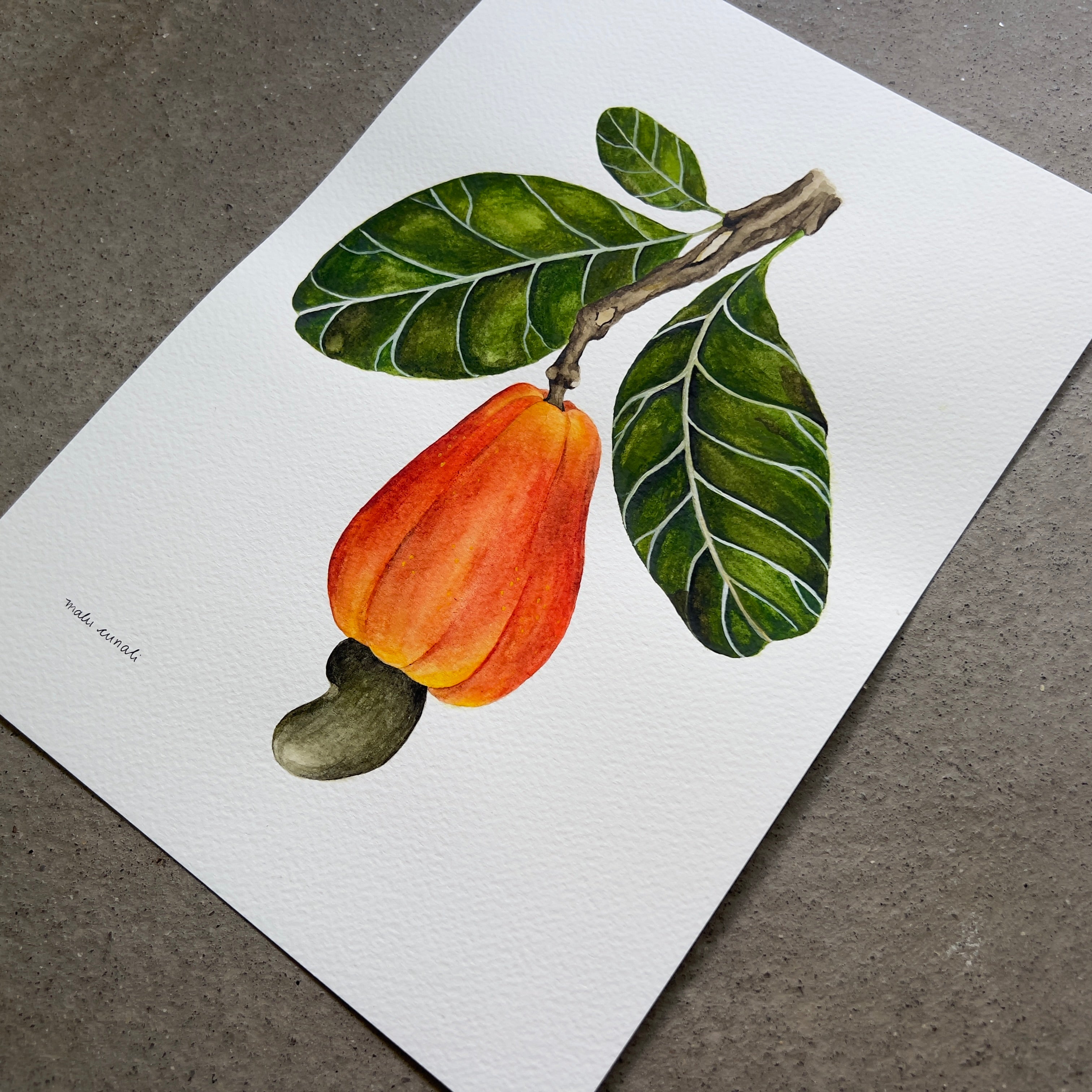 Cashew Branch Original Watercolor