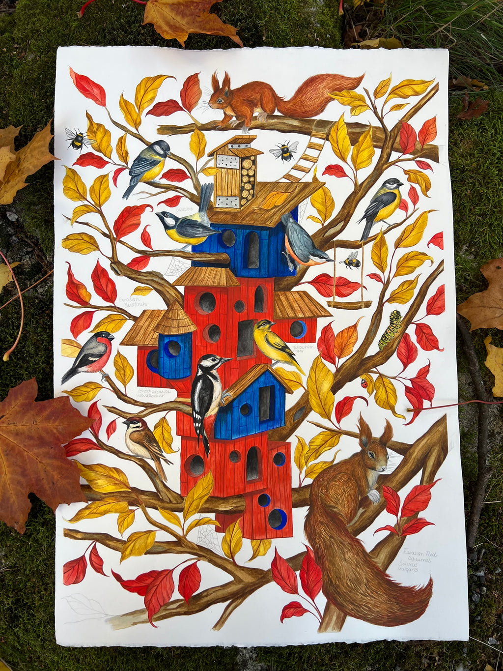 Bird House Watercolor Original