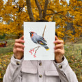 Wax Wing Bird Original