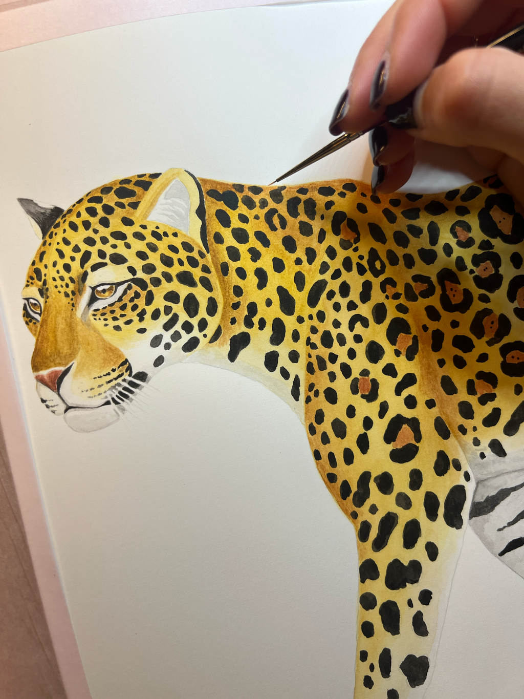 Jaguar Tropical Jungle