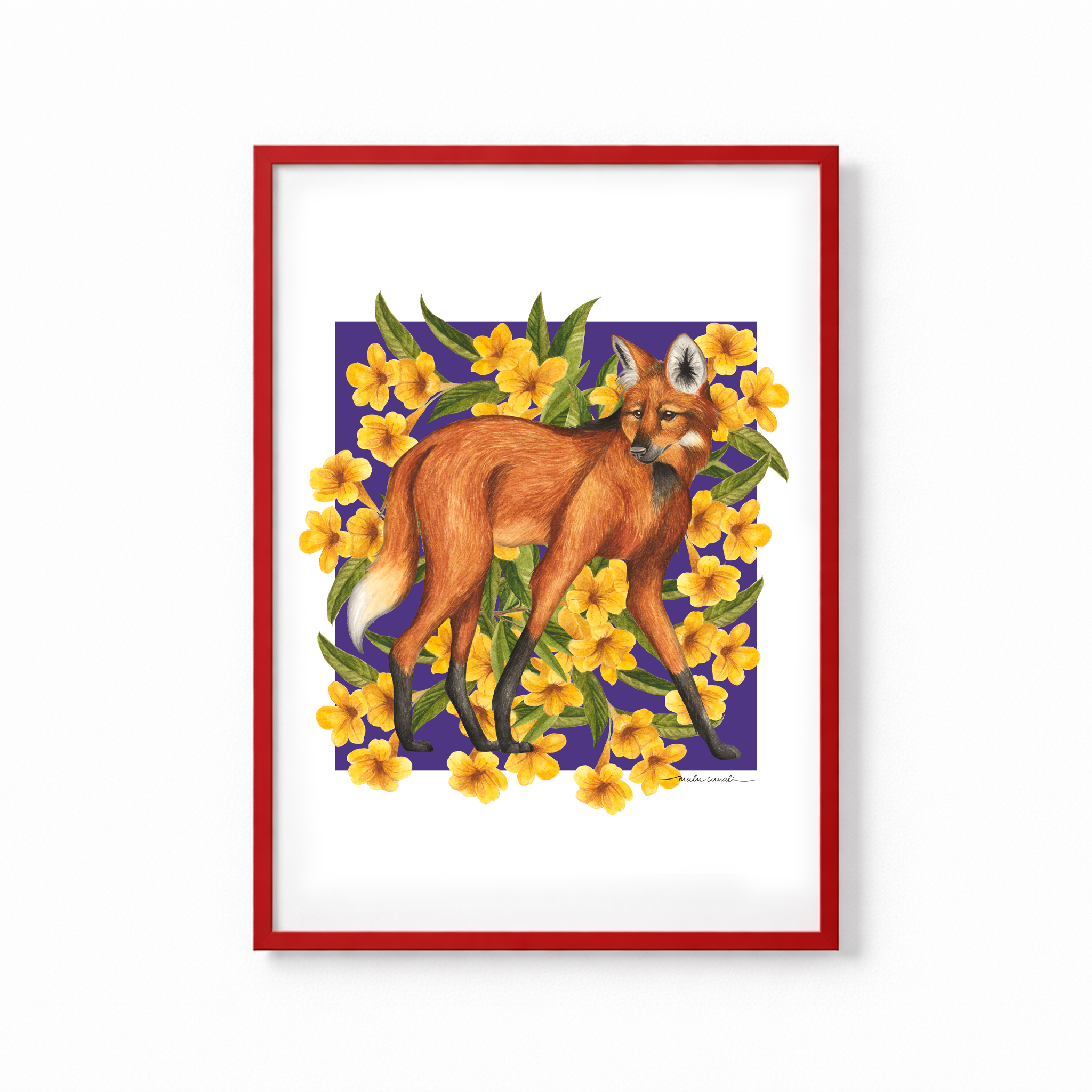Maned Wolf & Ipê