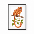 Golden Lion Tamarin