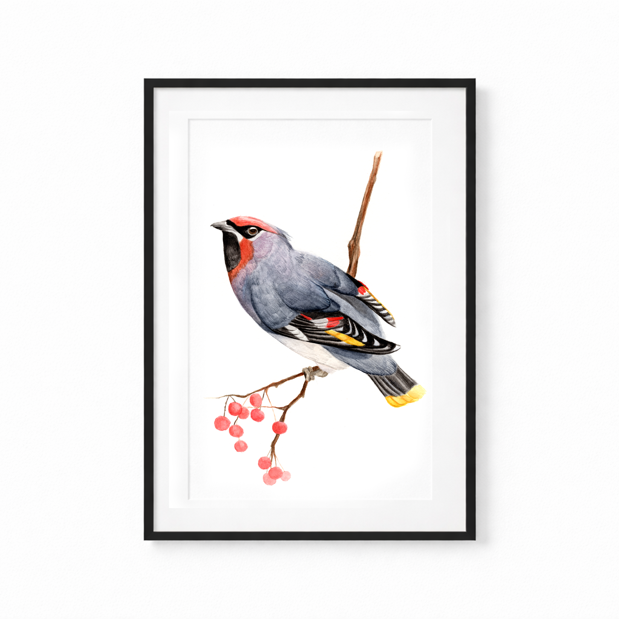 Waxwing